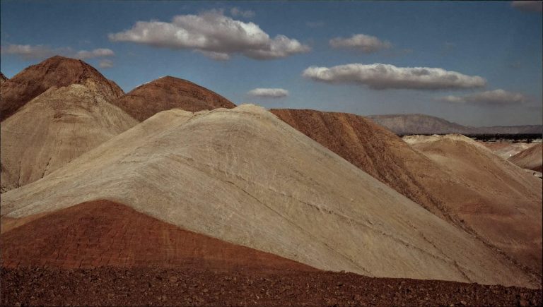 Как обустроить участок экологично: план, вода, почва и местные растения