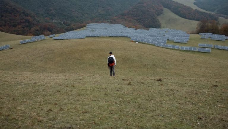 Надёжные способы проверить качество почвы на участке